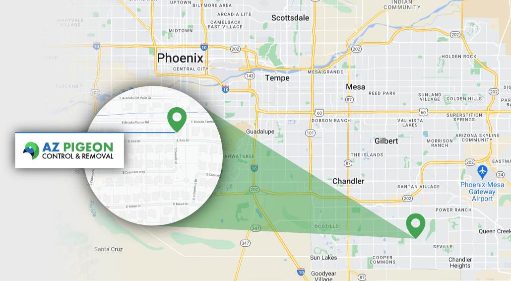Map Showing Our Office Location At 2180 E Aris Dr, Gilbert, AZ 85298